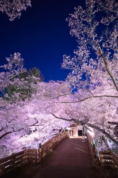 Takato Castle Ruins Park