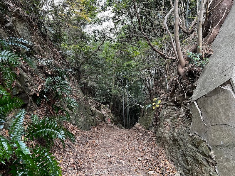 Kumano Kodo Pilgrimage Trail