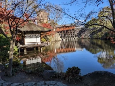 Wakayama