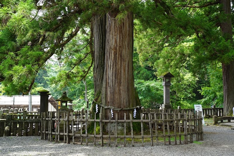 Togakushi Shrine