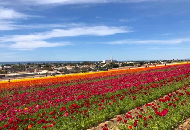 Hokkaido