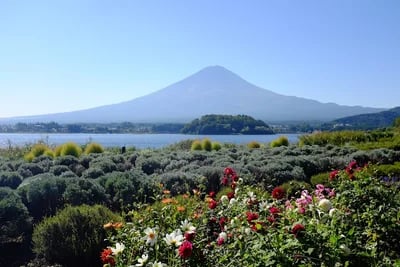 Lake Kawaguchiko Aishi Park