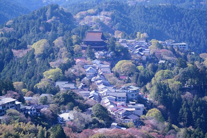 Yoshino Kusakusa