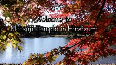 A paradise garden that takes you back 800 years. #visitjapan #unescoworldheritage #hiddengems #trave