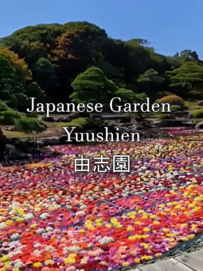 Japanese Garden Yuushien | Matsue 📍 #japan #fyp #japanvibes #travel #calm
Tagged location: Yuushien