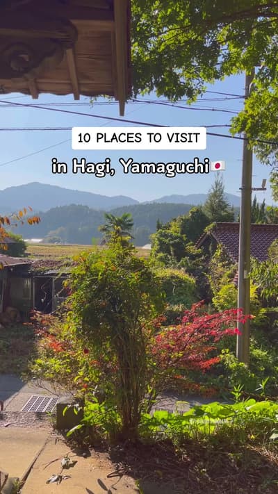 Replying to @Travel with Rikesh Put Hagi, Yamaguchi on your travel list! 🐱🍵👘 10 things to do and 