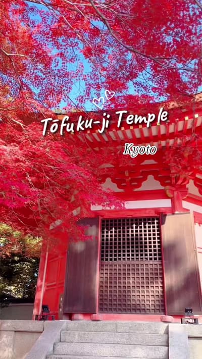 Tōfuku-ji Temple 東福寺 2025 .Có dịp đến kyoto bạn hãy ghé nơi đây vào mùa lá đỏ nhé. #lado #momiji #ky