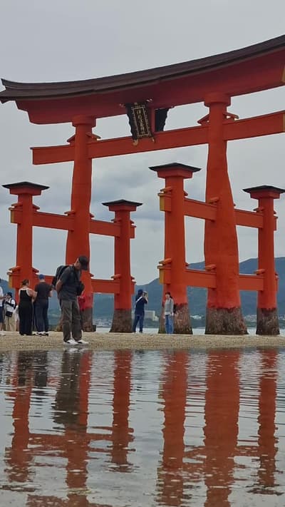 Don’t miss these three things in Hiroshima 🇯🇵 Discover Hiroshima's past through the Peace Memorial