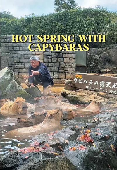 Always thought the capybara onsen was one of those “internet-only” things… until I finally saw it in