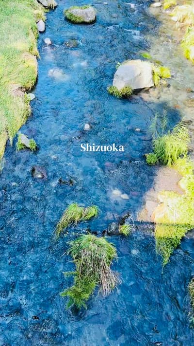 📍#shizuoka #shiroito #fall #nature #foryoupage
Tagged location: Shiraito Falls — Shiraito Falls, 27