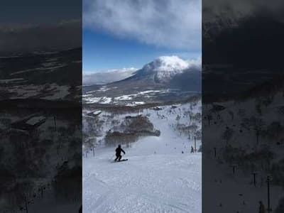 What you need to know before skiing Niseko United, Japan #shorts #ski #ikon