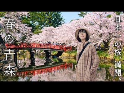 【 青森旅行 】日本一美しい春を旅しよう🌸桜満開の春の青森｜弘前さくらまつり