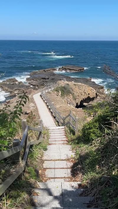「知る人ぞ、知る」島根のスポット 海に向かって斜めに突き出すその姿は まるで・・・ 木の幹が岩に突き刺さったかのような 不思議な景観✨ 樹木が石化した「羽根西の珪化木」🌳 国の天然記念物にも指定され