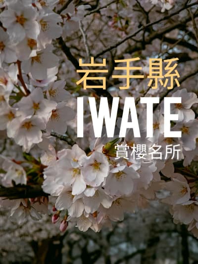 #Iwate Japan 🌸 Have you been to any? Save this list for your future Spring trip to Tohoku, Japan. *