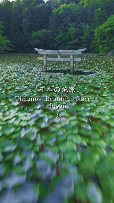 📍⛩️ 広島 / Hiroshima ・耕三寺 / Kōsan-ji Temple ・神勝寺 / Shinshoji Zen Museum and Gardens ・厳島神社 / Itsukushi