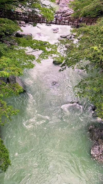 The Iya Vine Bridge, Tokushima, Japan 💚 #徳島観光 #tokushima #nishiawa #iyavalley #徳島
Tagged location: 