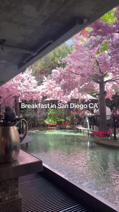 They change themes every month and this was their decoration for May #pinkasthethic #breakfastideas 