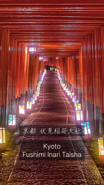 Fushimi Inari at night feels unreal ⛩️✨ Red torii gates, glowing lanterns, and hidden paths in Kyoto