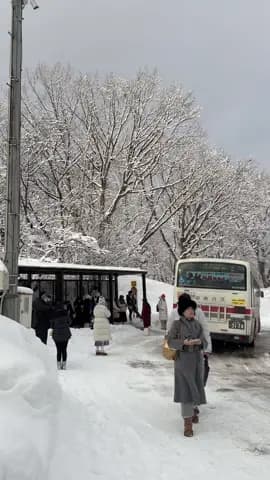 Things to do in Otaru ⛄️ walk around the old streets, eat fresh seafood, and head up to see the snow