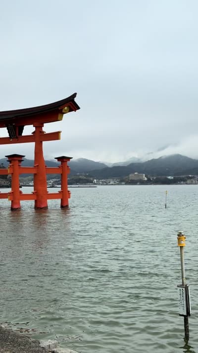 One Day Itinerary for Miyajima #creatorsearchinsights #realityofjapan #japan #japantravel
Tagged loc