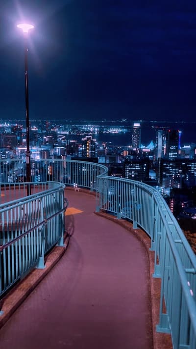 Venus Bridge(Hyogo) / ビーナスブリッジ It was a wonderful spot overlooking the city of Kobe🤩🌃 Please follo
