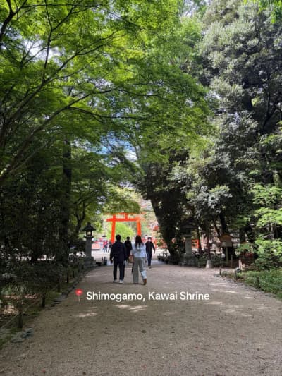 Shimogamo Shrine is known to be the best energy spot in Kyoto. Japanese people often come to make a 