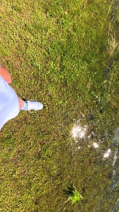 九州行くなら 草千里ヶ浜は絶対に行った方がいいとオススメして貰ったけど ほんまに、行ってよかった 天気にも恵まれて最高でした #草千里ヶ浜 #熊本#自然
Tagged location: Kusase