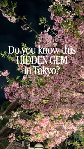 Tokyo’s Best Kept Secret: Tourists haven't found this yet! 🤫✨ I still can’t believe this place is 1