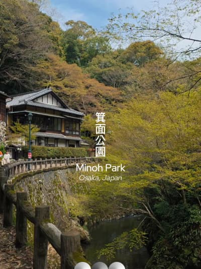 One of Osaka's hidden gems 🍁🇯🇵 Cool air, quiet trails, and just the right kind of reset away from