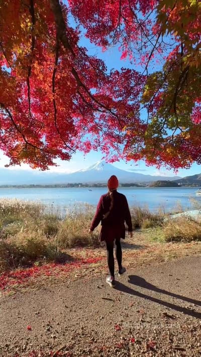 📍 Kawaguchiko, Japan ⠀ Kawaguchiko is at its peak season for maple leaves right now 🍁 ⠀ 📸 Novembe
