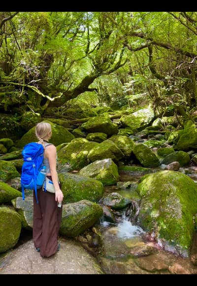 The Shiratani Unsuikyo Trail #yakushima #japan #solotravel #hike #princessmononoke
Tagged location: 