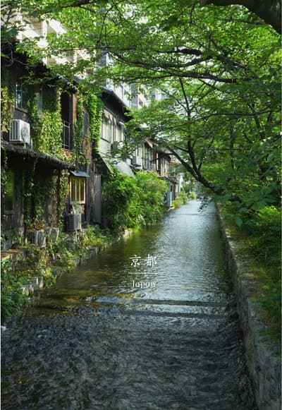 京都の夏を感じさせる場所 #高瀬川 #kyoto #日本の風景
Tagged location: Takase River — Takase River, Nabeyacho, Shimogyo Wa