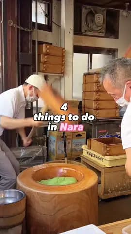 Nara one day itinerary for first timers🎀🦌 #nara #naradeerpark #naradeer #japan #japantrip #japantr