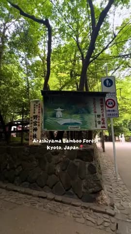 Decided to do Arashiyama Bamboo Forest at 7am since it’s such a popular tourist spot. There was bare