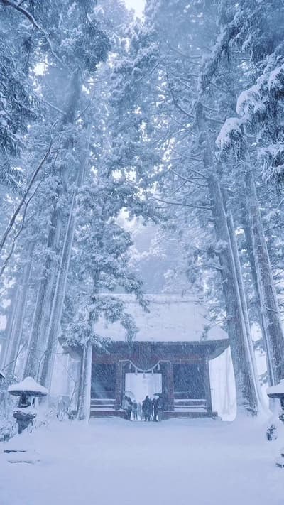長野にある鬼滅の序盤シーンの世界 📍戸隠神社 Togakushi Shrine . The World of Demon Slayer in Nagano, Japan . . 随神門から約500メ