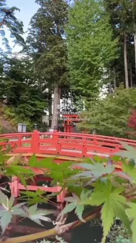 #CapCut This afternoon, I visited the Hiraizumi World Heritage Site. The atmosphere was perfect, eve