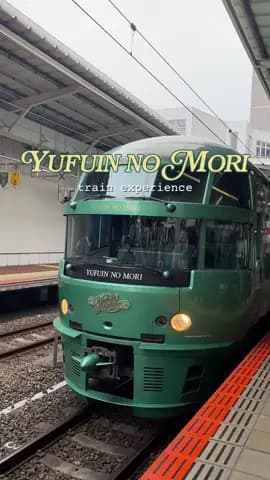 because hours of travelling doesn’t have to be mundane and boring! 🚞🧺🍄 I have always wanted to tr
