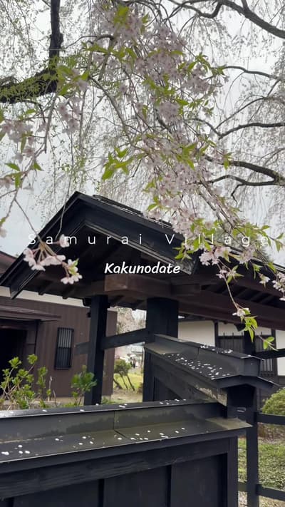 Samurai Village ในวันที่ฝนฟ้าไม่เป็นใจ #samuraivillage #kakunodate #เที่ยวญี่ปุ่น #เที่ยวญี่ปุ่นด้วย