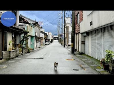 2 Days in Japan's Dying Town with So Many Abandoned Houses | Hiwasa