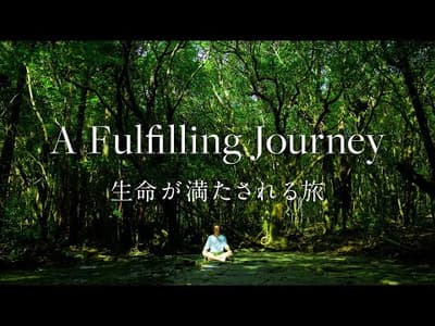 [屋久島 | Yakushima] A Fulfilling Journey | 生命が満たされる旅 [Documentary] [4K]