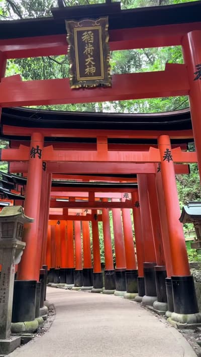 ⛩️ Fushimi Inari Taisha in Kyoto, famous for its thousands of red torii gates, is a sacred Shinto sh