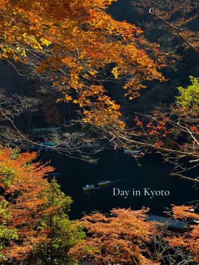 Such a magical place 💗 Arashiyama in Kyoto is a must visit, especially during the autumn season 🍂 
