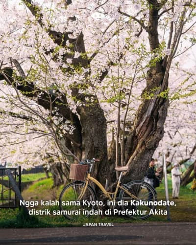Terletak di Prefektur Akita, Kakunodate sering dijuluki sebagai “Little Kyoto of the Tohoku Region” 