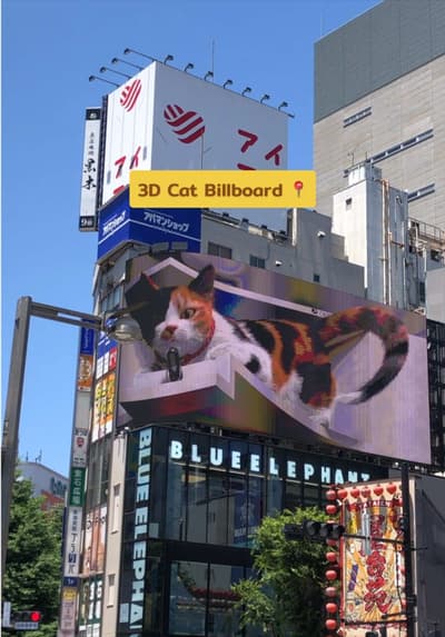 พิกัดถ่ายรูปกับน้องแมว 3D สุดคิ้วท์ 🐈📍ตึก Cross Shinjuku ออกจากสถานีเจอเลย น้องจะมาเป็นระยะๆนะ ต้อ