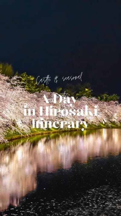 09:00 — Cherry blossoms at Hirosaki Castle Park 11:30 — Slow café break surrounded by nature ☕ 13:00