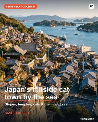 Japan's hillside cat town by the sea 🐱 Onomichi: temple walks, cat alleys, retro cafés — and the ga