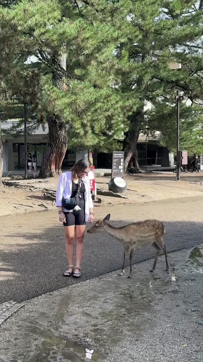 Your perfect day in Nara, Japan 🦌✨ 📍 Must-do's in Nara: 🦌 Feed the famous bowing deer at Nara Par