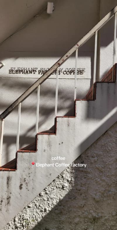 small place, but coffee is good :) ☕️ Elephant Factory Coffee 📍 309-4 Bizenjimacho, Nakagyo Ward, K