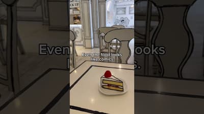 Wait… This Café is 2D!?