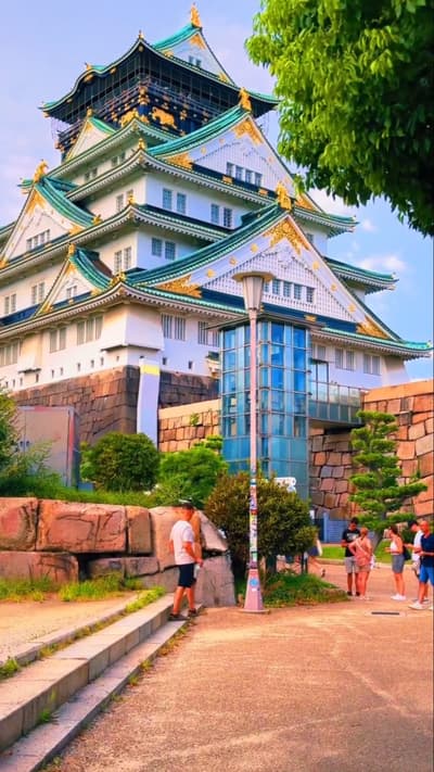 Japan’s Unreal Beauty 🇯🇵 | Kyoto • Osaka • Tokyo ✨#shorts #viral #trending #shortsfeed